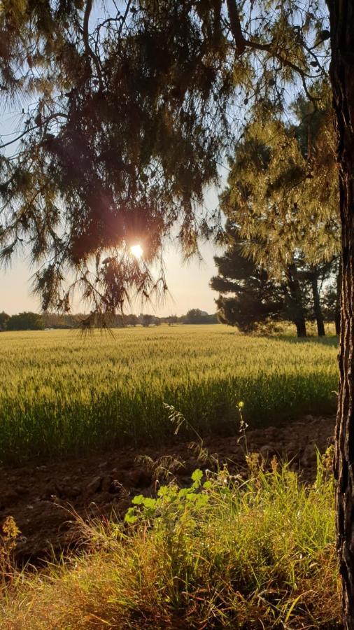Masseria Vivi Il Salento Санта-Катерина Экстерьер фото
