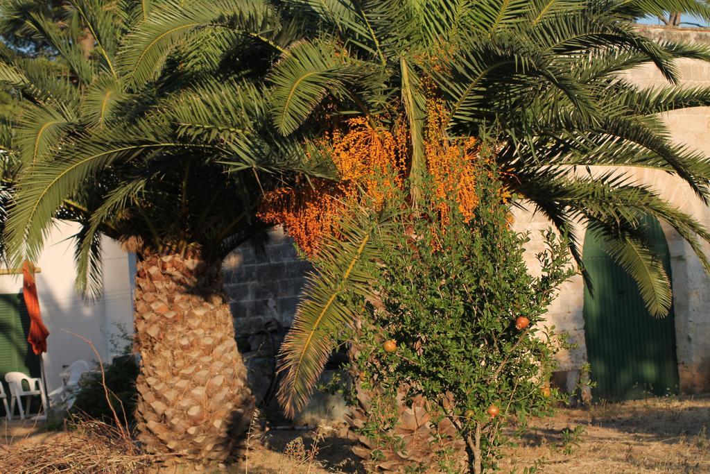 Masseria Vivi Il Salento Санта-Катерина Номер фото