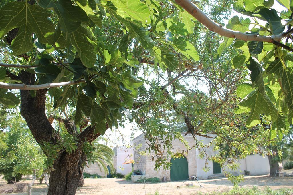 Masseria Vivi Il Salento Санта-Катерина Номер фото