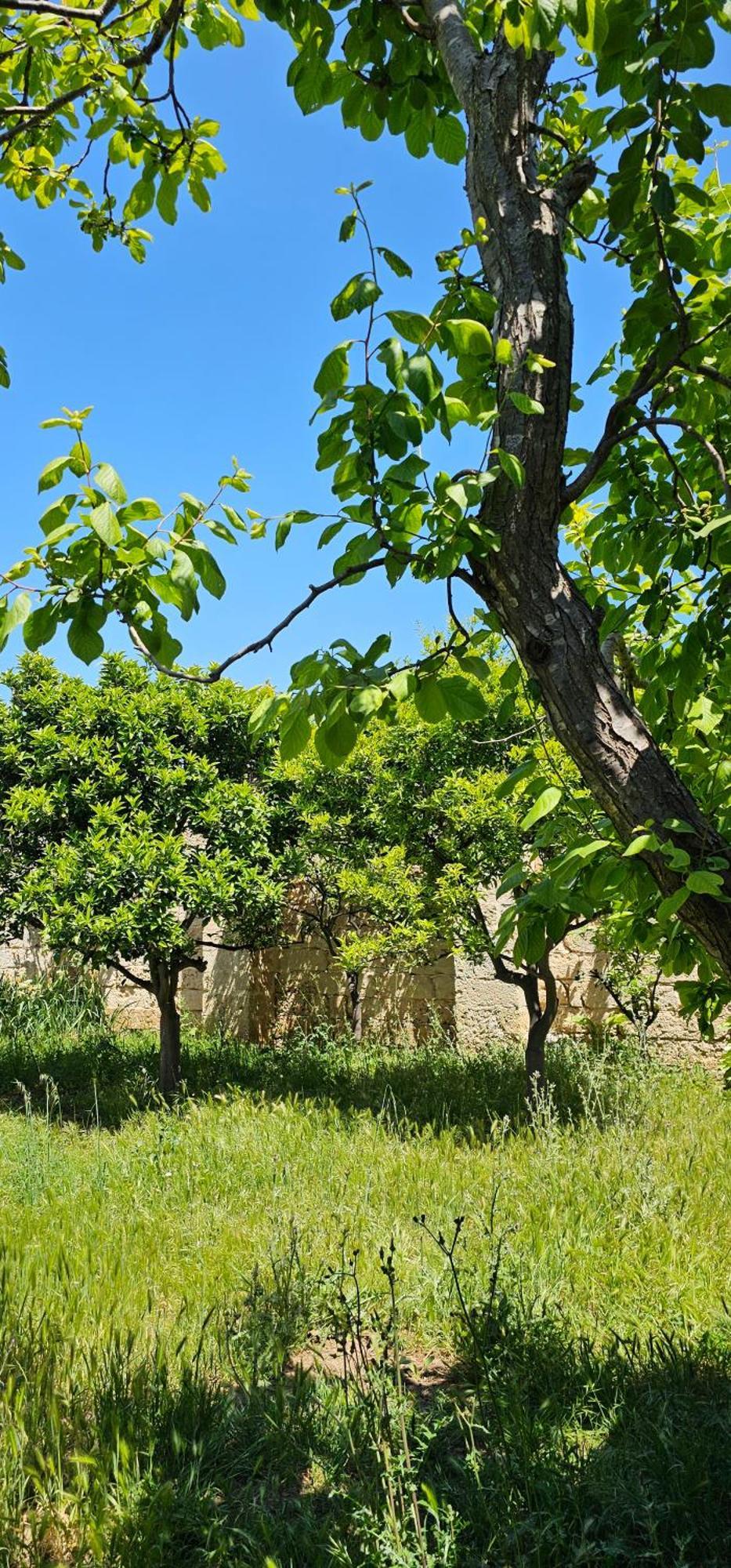 Masseria Vivi Il Salento Санта-Катерина Экстерьер фото