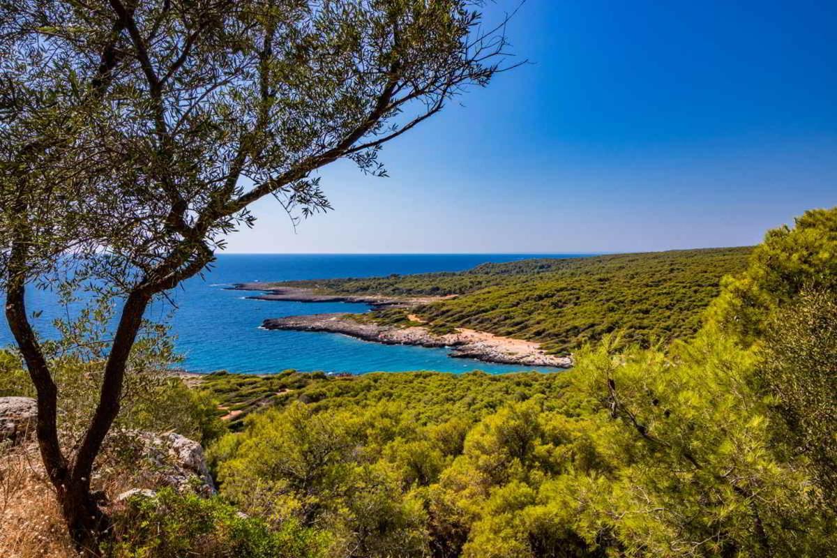 Masseria Vivi Il Salento Санта-Катерина Экстерьер фото