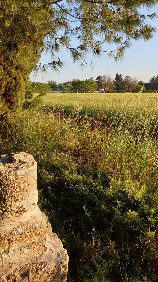 Masseria Vivi Il Salento Санта-Катерина Экстерьер фото